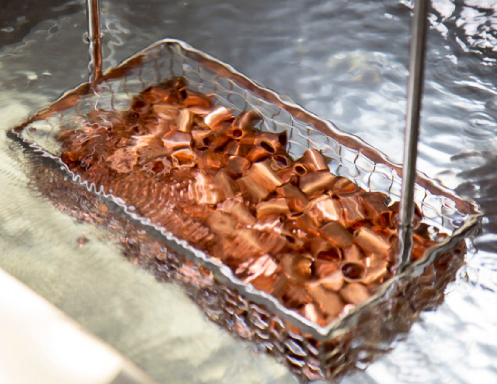 IMMERSION_WASHER (1)